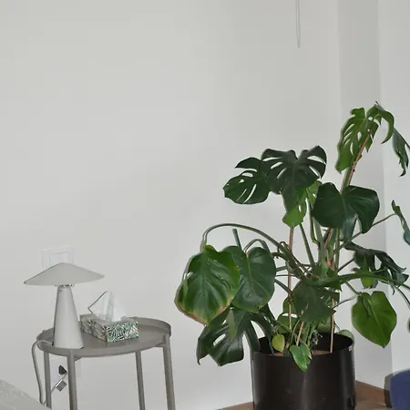 L'oasi Amena - Loft